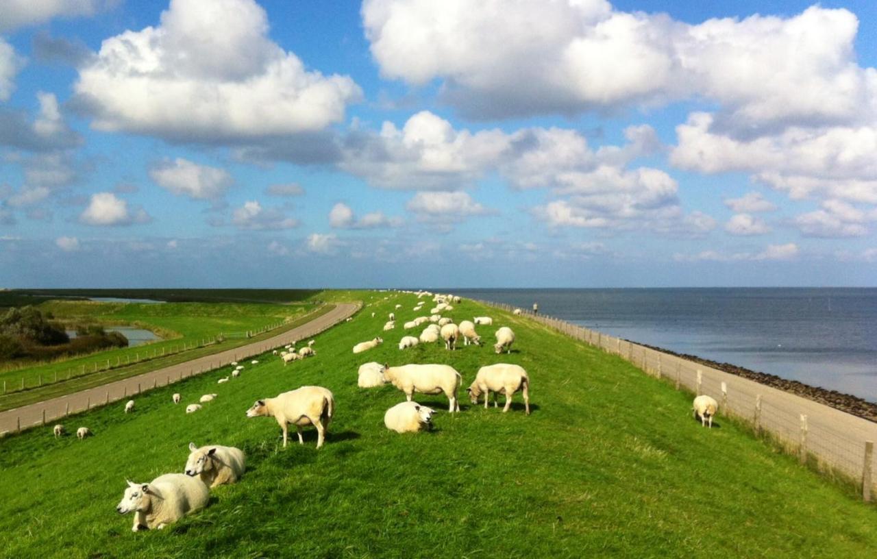 Jagershuistexel Bed and Breakfast Oosterend  Buitenkant foto
