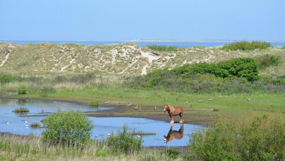 Jagershuistexel Bed and Breakfast Oosterend  Buitenkant foto